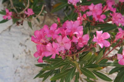 CyprusGreeceXT_20120093.jpg