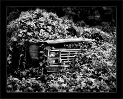 Jungle Ford Truck BW