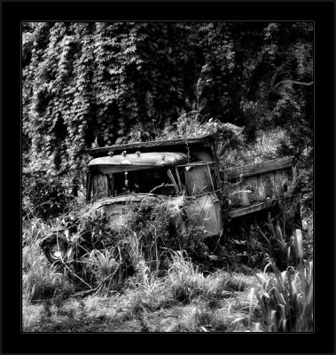 Jungle Cascade Truck BW