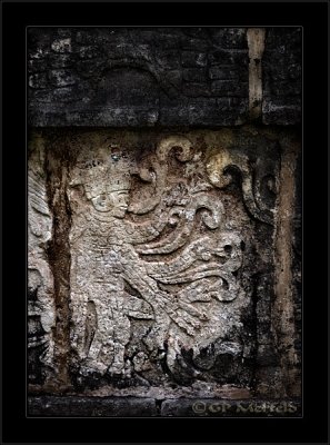 Mayan Carving (Duotone)