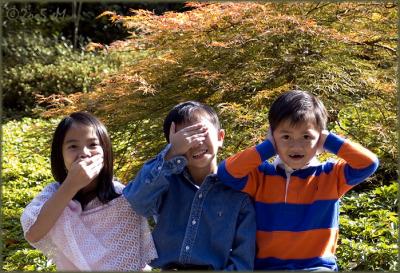 g4/75/192975/3/51895259.DSC_5543copy_resize.jpg