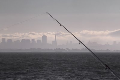 City Fishin'