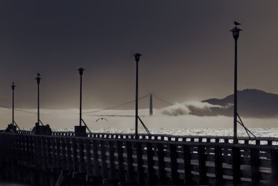 Fog envelopes the Bay Bridge