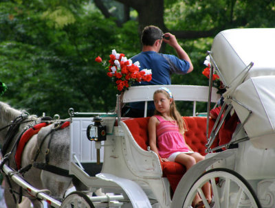 Cinderella's ride
