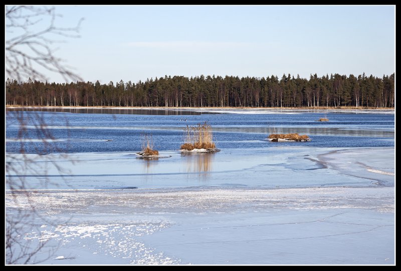 Small river in Sweden