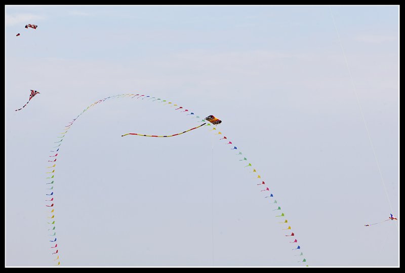 Kite-festival