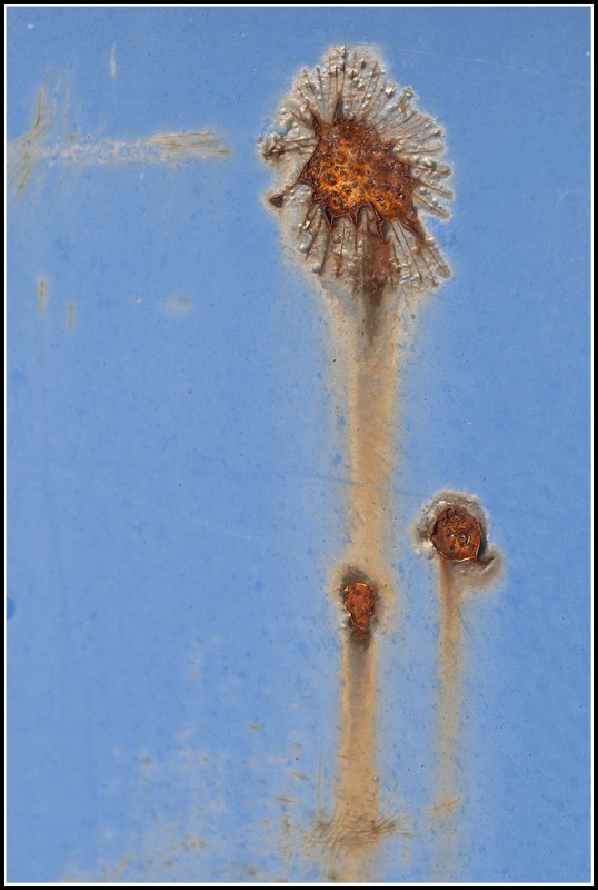 Family Corrosion.