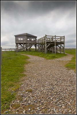 Birders Tower