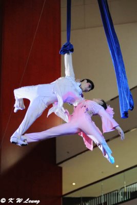 Jinan Acrobatic Troupe (濟南雜技團)
