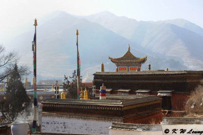Labrang Monastery DSC_1902