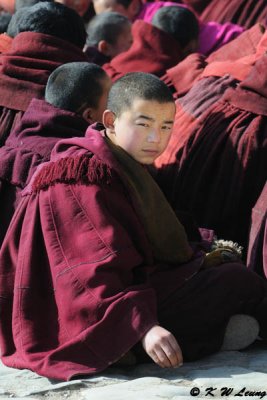 Labrang Monastery DSC_1156