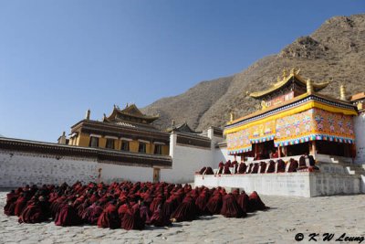 Labrang Monastery DSC_1925