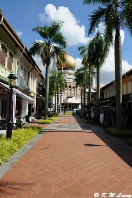 Bussorah Street with Sultan Mosque DSC_8719