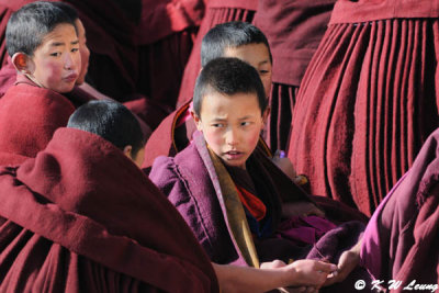 Labrang Monastery DSC_1136