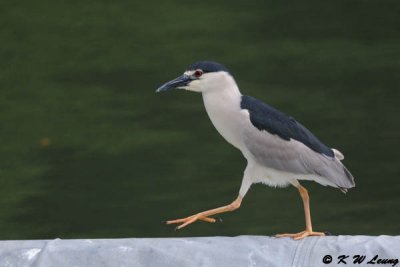 g4/75/35275/3/136882168.pTTGVjoS.jpg