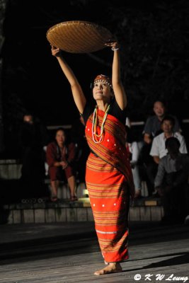 Aboriginal dance DSC_2662