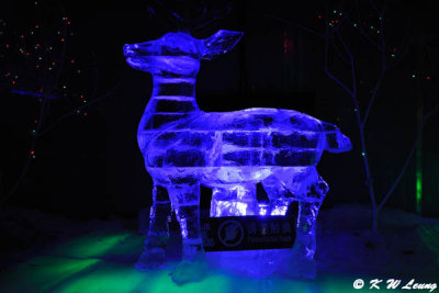 Ice Sculpture Exhibition DSC_8510