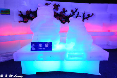 Ice Sculpture Exhibition (DSC_8486)