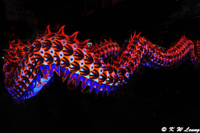 Luminous Dragon Dance DSC_3893