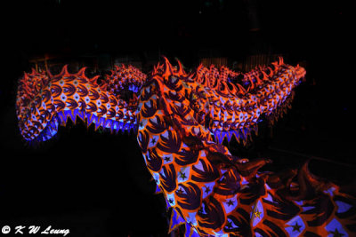 Luminous Dragon Dance DSC_3901