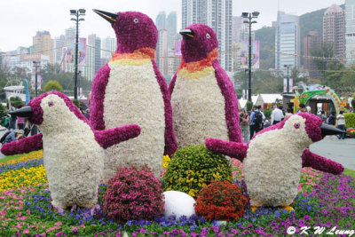 Hong Kong Flower Show 2012