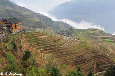 Dragon's Backbone Rice Terraces DSC_7460