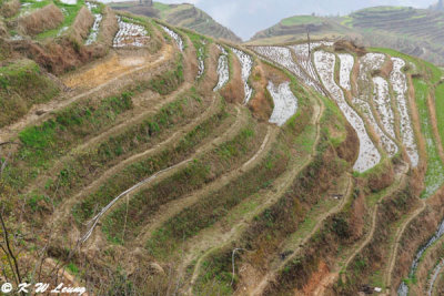 Dragon's Backbone Rice Terraces DSC_7445