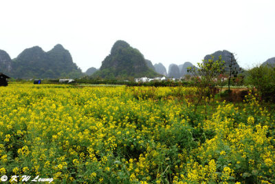 Shangri-La Yangshuo DSC_7581