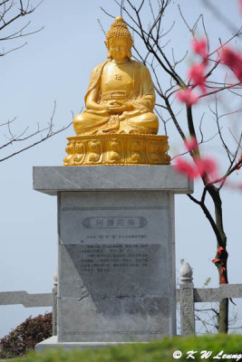 Buddha @ Yaoshan DSC_8262