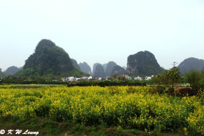 Shangri-La Yangshuo DSC_7577