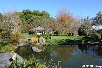 Japanese Garden (DSC_3958)