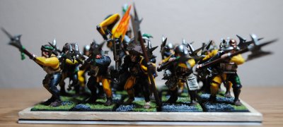 DSC_0172.jpg