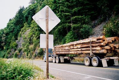 haulingl lumber Wa.jpg