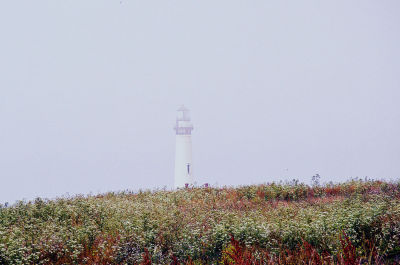 Pigeon Point Lighthouse1 Ca.jpg