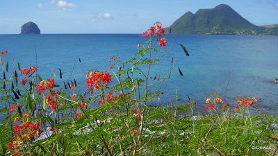 Martinique