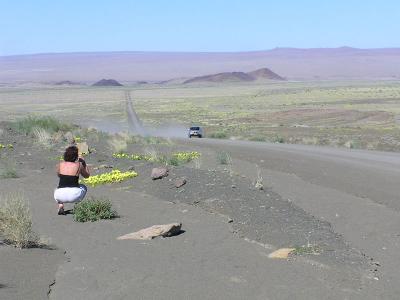 Namibia roads BMWx5