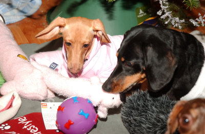 Christmas 2007