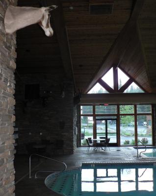 Hunt's Lodge had trophy game even overlooking the pool!