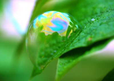 bubbled sunset.jpg