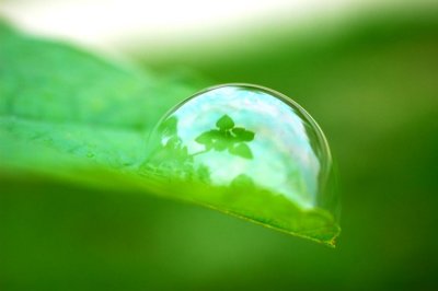 bubble 5.jpg