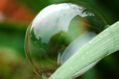 bubble 4.jpg