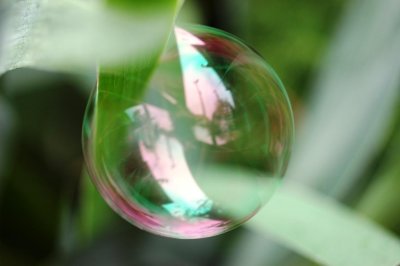 bubble 3.jpg