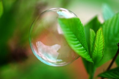 bubble 1.jpg