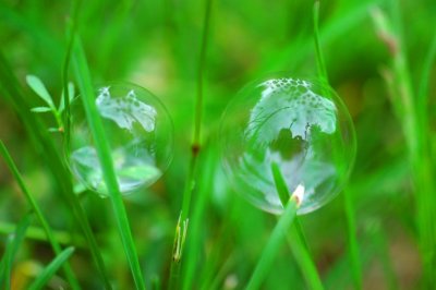 double bubble.jpg