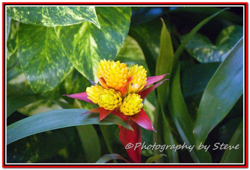 DSC_5414A.jpg