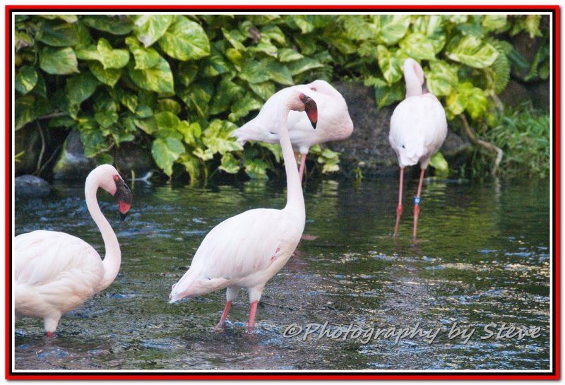 DSC_5427A.jpg