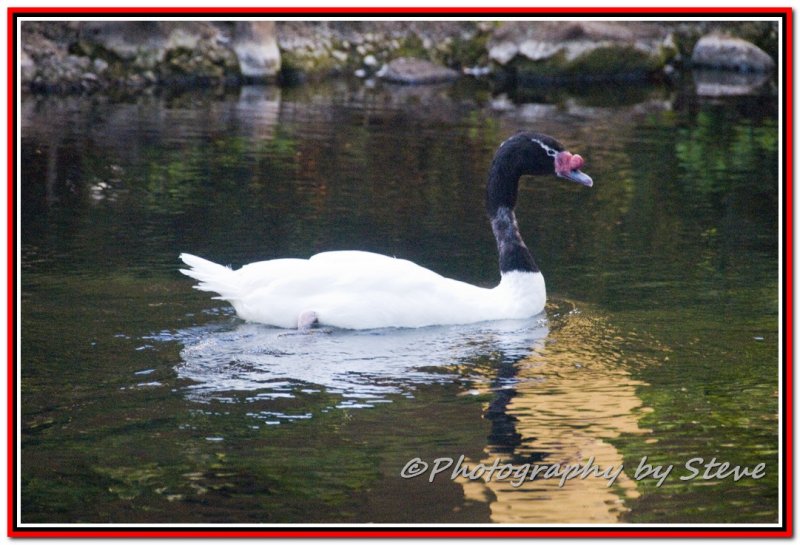DSC_5459A.jpg