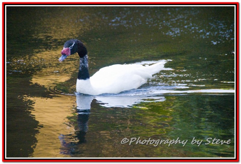 DSC_5463A.jpg