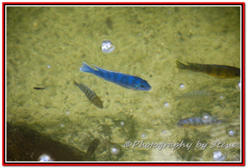 DSC_5472A.jpg