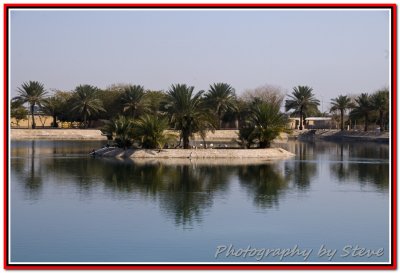 DSC_1377A.jpg